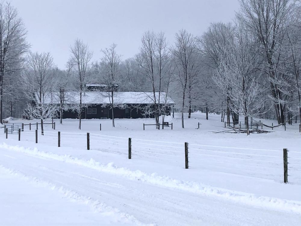 Butcher family farm